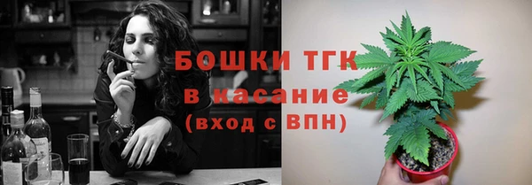 мет Лагань