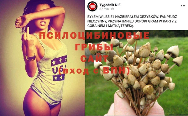 мет Лагань