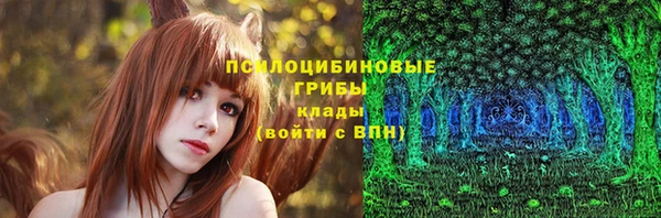 эйфоретик Ладушкин