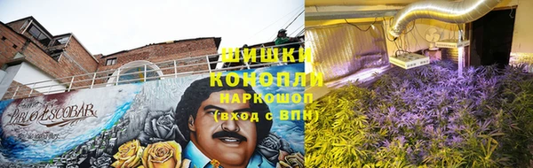 мет Лагань