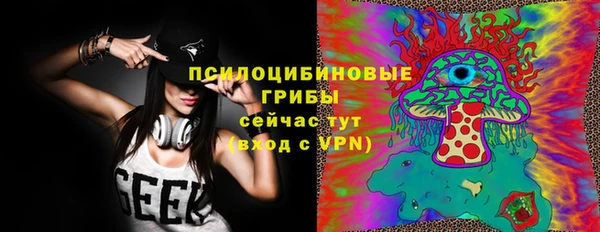 эйфоретик Ладушкин