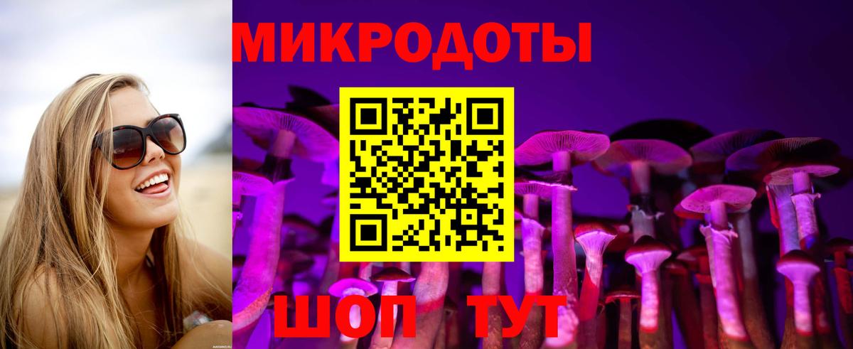 Галлюциногенные грибы Psilocybe  Вход с VPN  Междуреченск  Псилоцибиновые грибы Psilocybe 